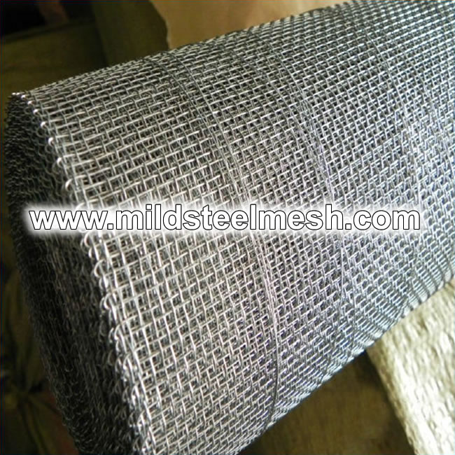 Galvanized Iron Wire Netting for insect screening